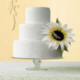 tourta gamou 2012 7 160x160 - Γαμήλια τούρτα Οι τάσεις του 2012