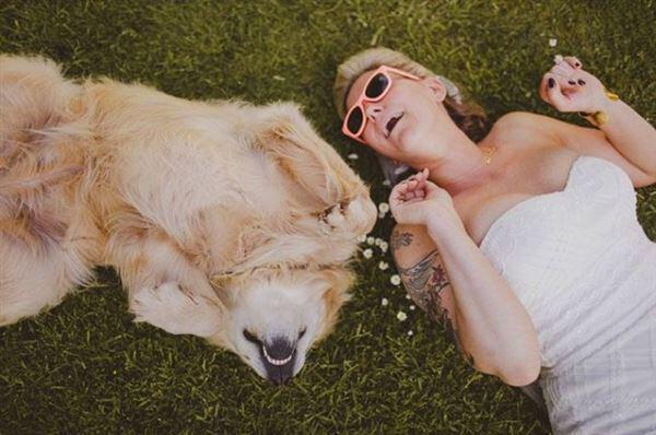 skili sto gamo 1 - Πως θα συμμετέχει το σκυλί σας στο γάμο σας