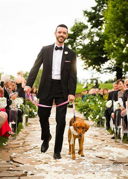 skili sto gamo 3 - Πως θα συμμετέχει το σκυλί σας στο γάμο σας