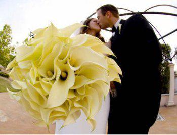gamos callas lefka mpouketo - Γιατί να διαλέξετε κάλες (Calla Lilies) για το γαμήλιο μπουκέτο σας